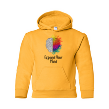 Load image into Gallery viewer, Expand Your Mind Youth Hoodie
