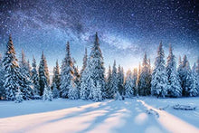 Load image into Gallery viewer, Winter Woods
