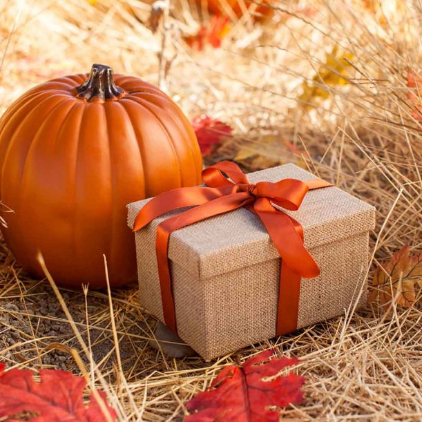 $15 Autumn Mystery Box